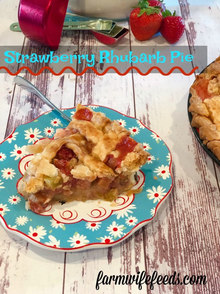 Strawberry Rhubarb Pie from Farmwife Feeds is a family recipe that is a county fair pie winner! #recipe #pie #rhubarb #strawberry