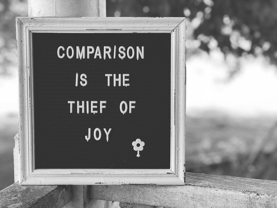 Comparison Is The Thief Of Joy - FarmwifeFeeds