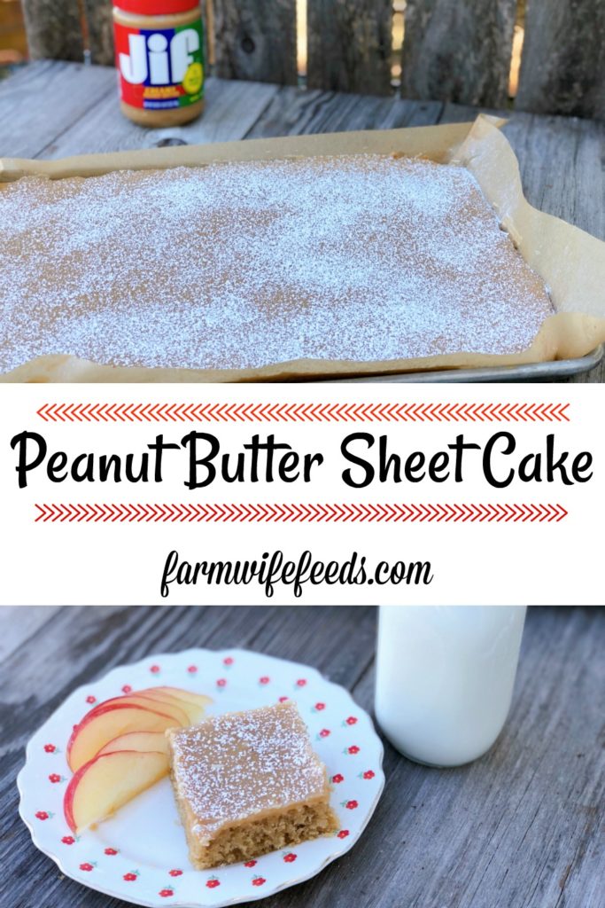 Peanut Butter Sheet Cake from Farmwife Feeds is a homemade cake and icing that will feed a crowd. #peanutbutter #cake #homemade