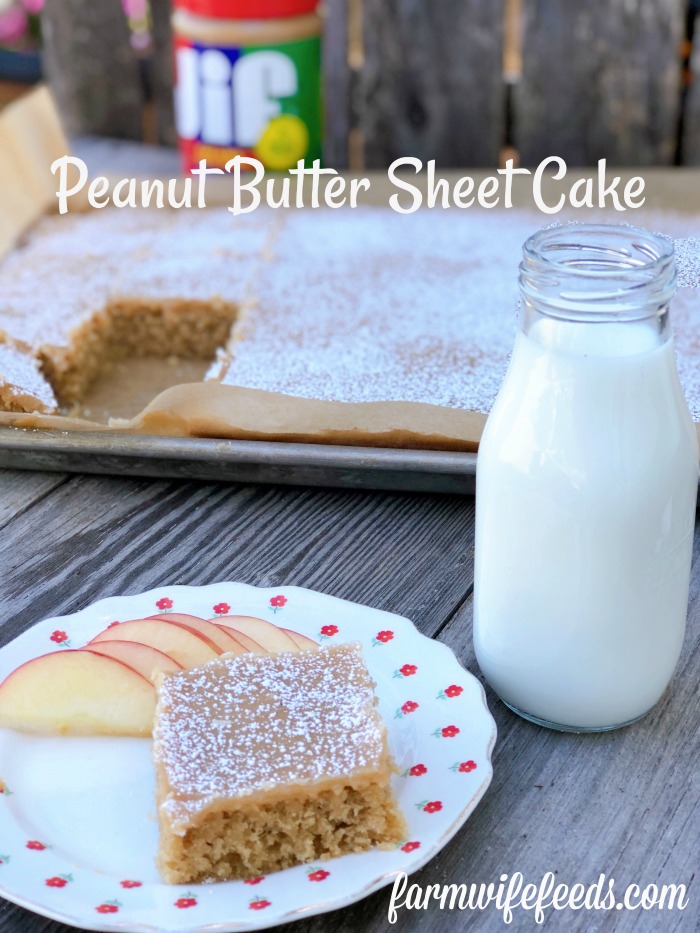 Peanut Butter Sheet Cake from Farmwife Feeds is a homemade cake and icing that will feed a crowd. #peanutbutter #cake #homemade