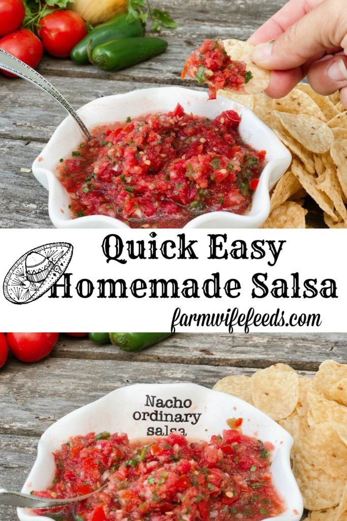 Quick Easy Homemade Salsa from Farmwife Feeds uses fresh produce for a great snack any time. #salsa #mexican #dip