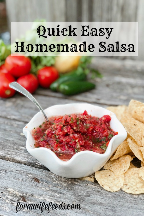 Quick Easy Homemade Salsa from Farmwife Feeds uses fresh produce for a great snack any time. #salsa #mexican #dip