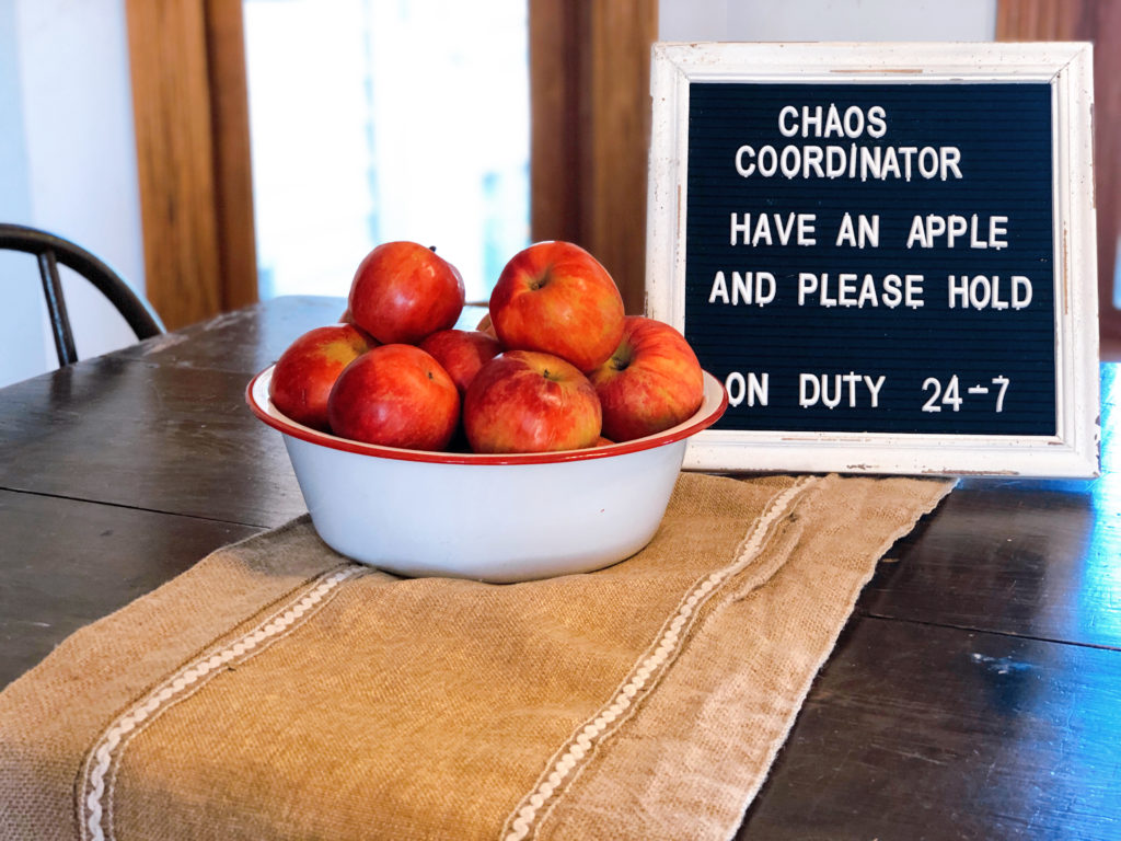 Chaos Coordinator sounds more professional than Shit Show Ring Master!