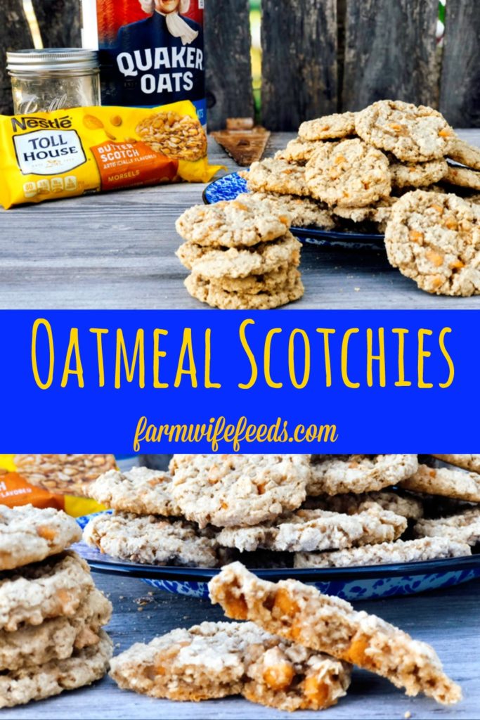 Oatmeal Scotchies from Farmwife Feeds, a soft chewy classic oatmeal cookie with butterscotch chips for that distinct taste. #oatmeal #cookie #butterscotch #oatmealscotchies