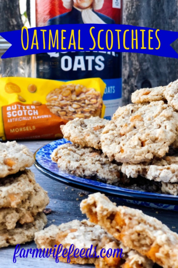 Oatmeal Scotchies from Farmwife Feeds, a soft chewy classic oatmeal cookie with butterscotch chips for that distinct taste. #oatmeal #cookie #butterscotch #oatmealscotchies