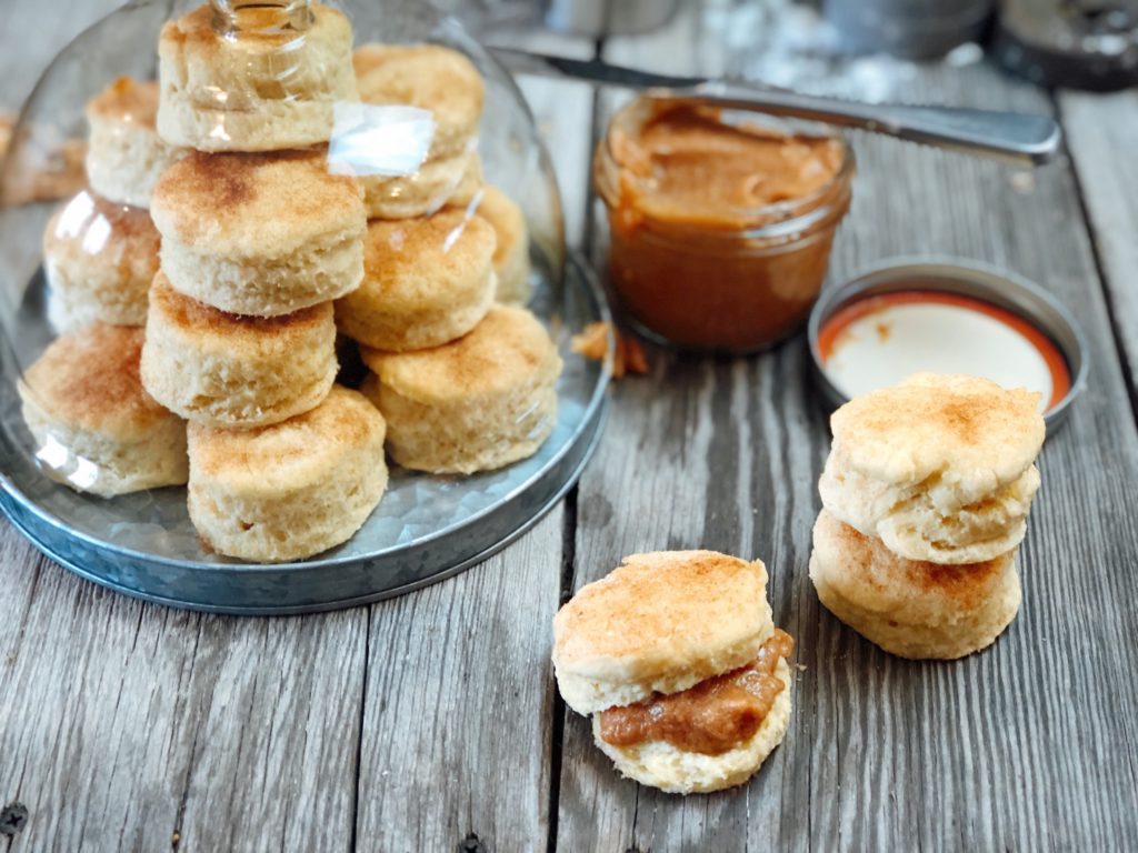 Cream Cheese Buttermilk Cinnamon Sugar Biscuits from Farmwife Feeds are a flakey biscuit with just a touch of sweetness. #creamcheese #biscuit #homemade #recipe