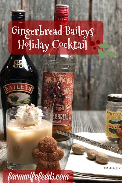 Gingerbread Baileys Holiday Cocktail The Farmwife Feeds