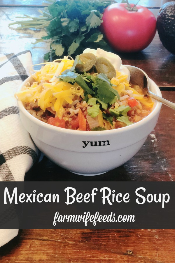 Mexican Beef Rice Soup from Farmwife Feeds is an easy soup that tastes summer fresh anytime of the year. #soup #mexican #salsa #rotel