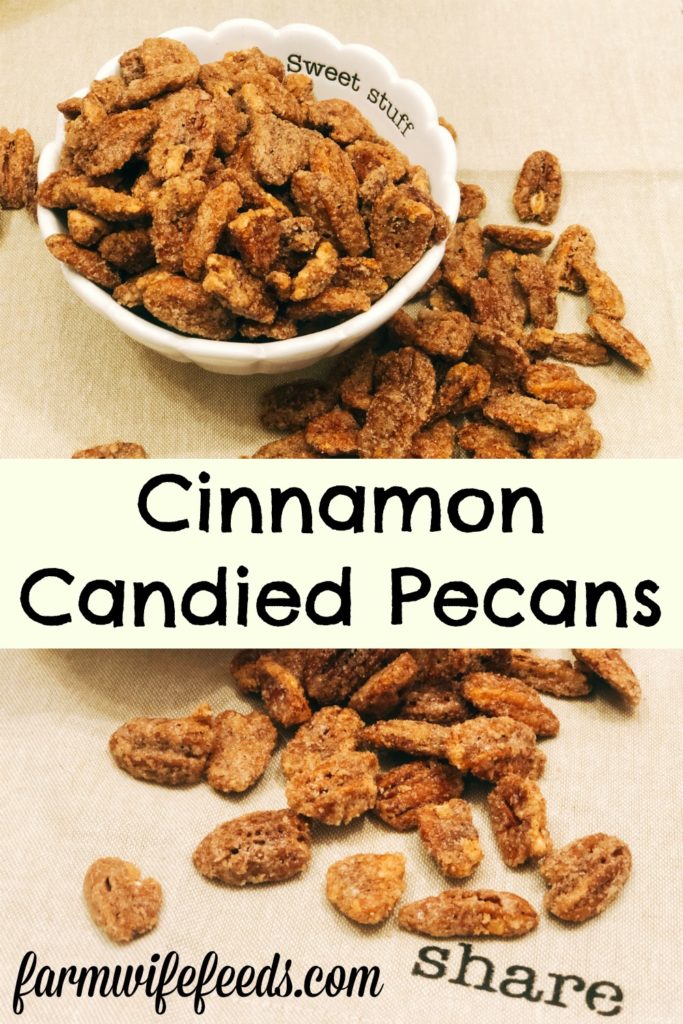 Cinnamon Candied Pecan from Farmwife Feeds, easy to make sweet treat that will quickly become addictive. #pecans #cinnamon #snack