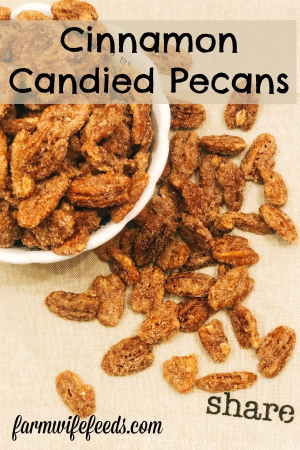 Cinnamon Candied Pecan from Farmwife Feeds, easy to make sweet treat that will quickly become addictive. #pecans #cinnamon #snack