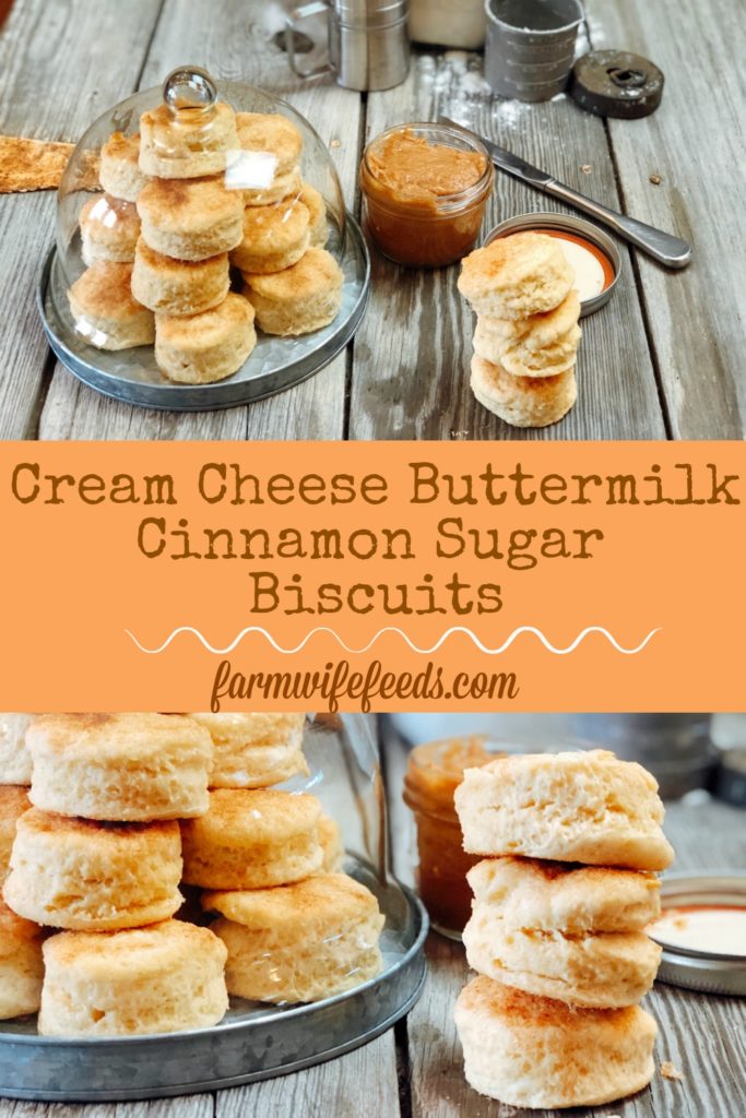 Cream Cheese Buttermilk Cinnamon Sugar Biscuits from Farmwife Feeds are a flakey biscuit with just a touch of sweetness. #creamcheese #biscuit #homemade #recipe
