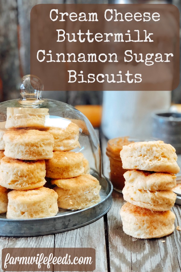 Cream Cheese Buttermilk Cinnamon Sugar Biscuits from Farmwife Feeds are a flakey biscuit with just a touch of sweetness. #creamcheese #biscuit #homemade #recipe