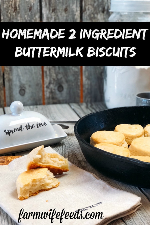 Homemade 2 Ingredient Buttermilk Biscuits from Farmwife Feeds are a quick easy way to whip biscuits up for breakfast, lunch or supper. #biscuits #buttermilk #recipe