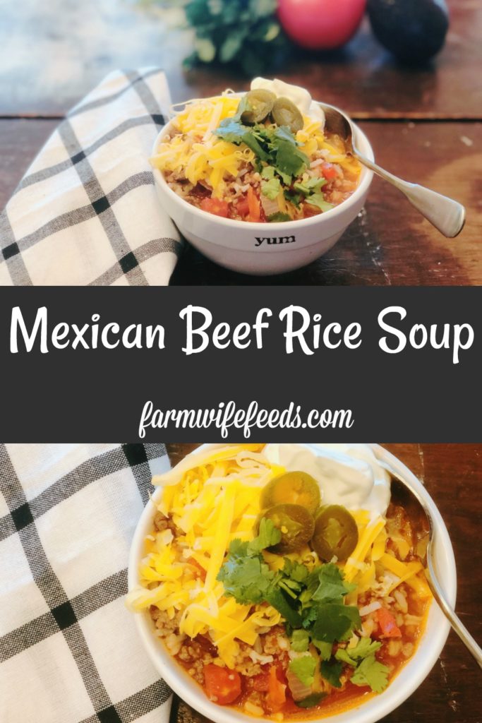 Mexican Beef Rice Soup from Farmwife Feeds is an easy soup that tastes summer fresh anytime of the year. #soup #mexican #salsa #rotel