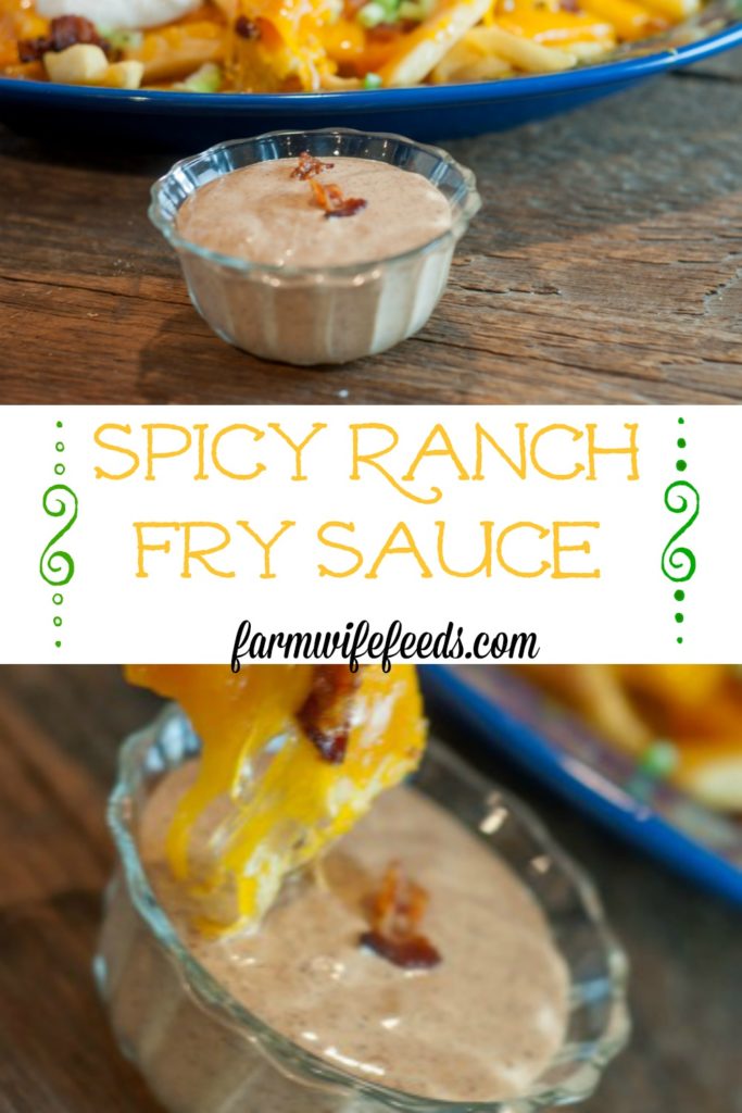 Spicy Ranch Fry Sauce from Farmwife Feeds is made with a few simple ingredients that even picky eaters will love. #sauce #ranch #frenchfries