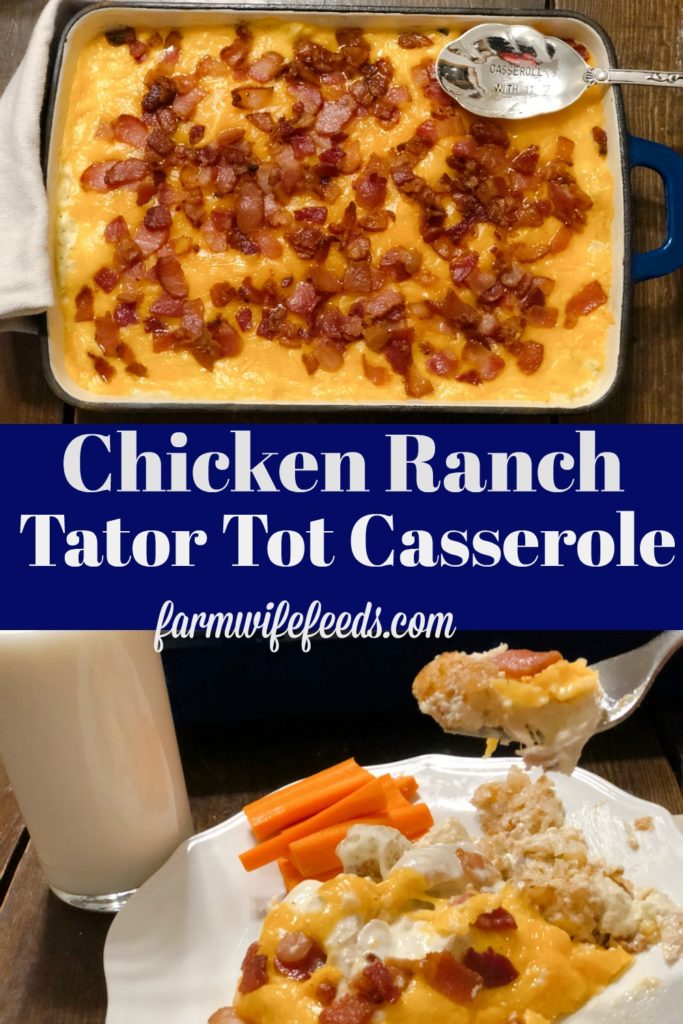 Chicken Ranch Tator Tot Casserole from Farmwife Feeds. A cheese easy hot dish with meat and potatoes for a delicious filling family dinner.