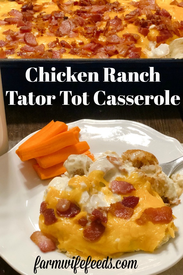 Ranch Chicken Tater Tot Casserole from Farmwife Feeds is a classic hotdish made with chicken and tater tots for an easy supper for the family. #casserole #hotdish #chicken #tatertot