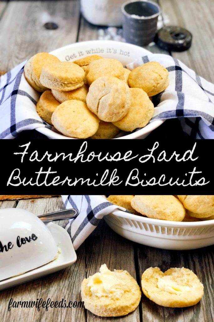 Farmhouse Lard Buttermilk Biscuits from Farmwife Feeds are an easy homemade biscuit just like Great Grandma made. #biscuits #buttermilk #homemade