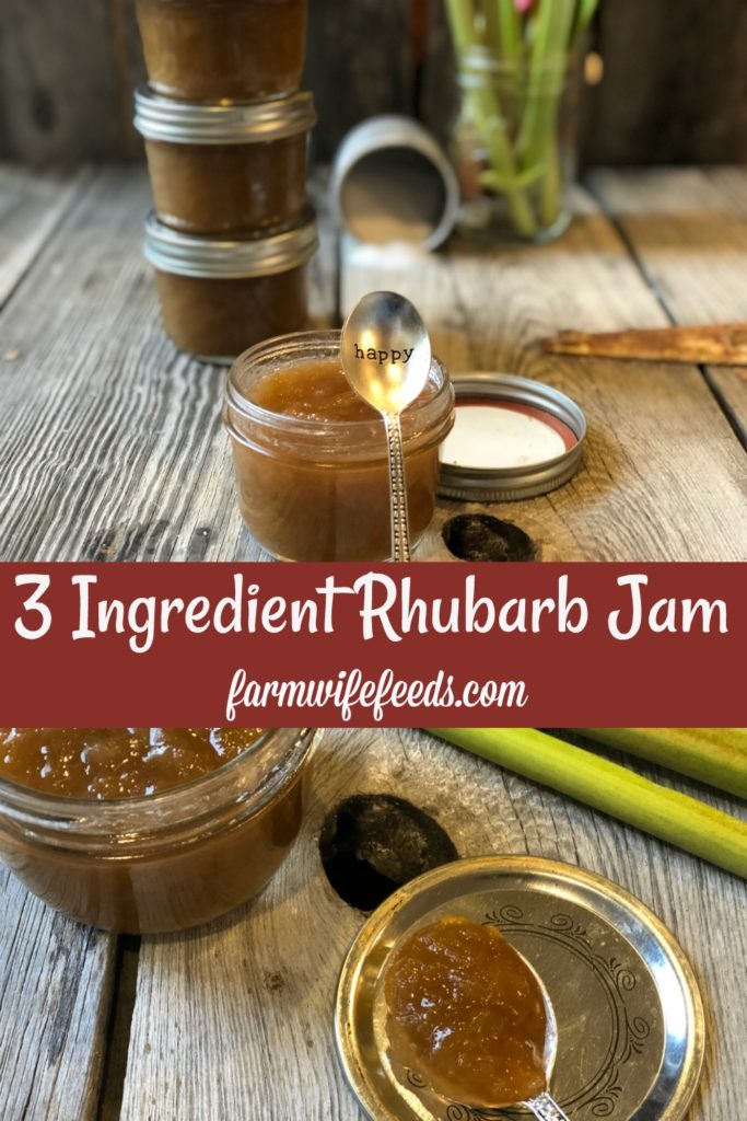 Easy Rhubarb Jam from Farmwife Feeds is a 3 ingredient sweet treat good for so many recipes and your morning toast. #rhubarb #jam #recipe