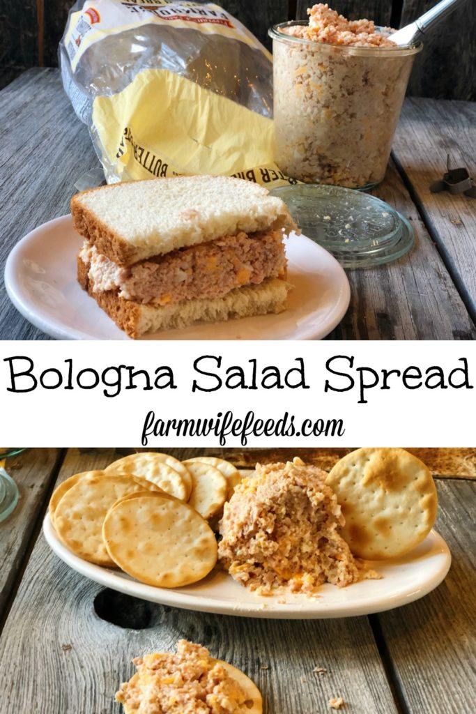 Bologna Salad Spread from Farmwife Feeds is easy to put together and keep in the refrigerator for sandwich or snacks. #pork #ham #bologna #sandwich