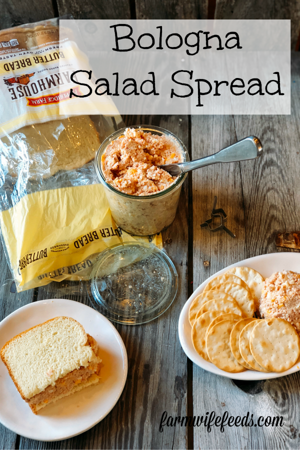 Bologna Salad Spread from Farmwife Feeds is easy to put together and keep in the refrigerator for sandwich or snacks. #pork #ham #bologna #sandwich