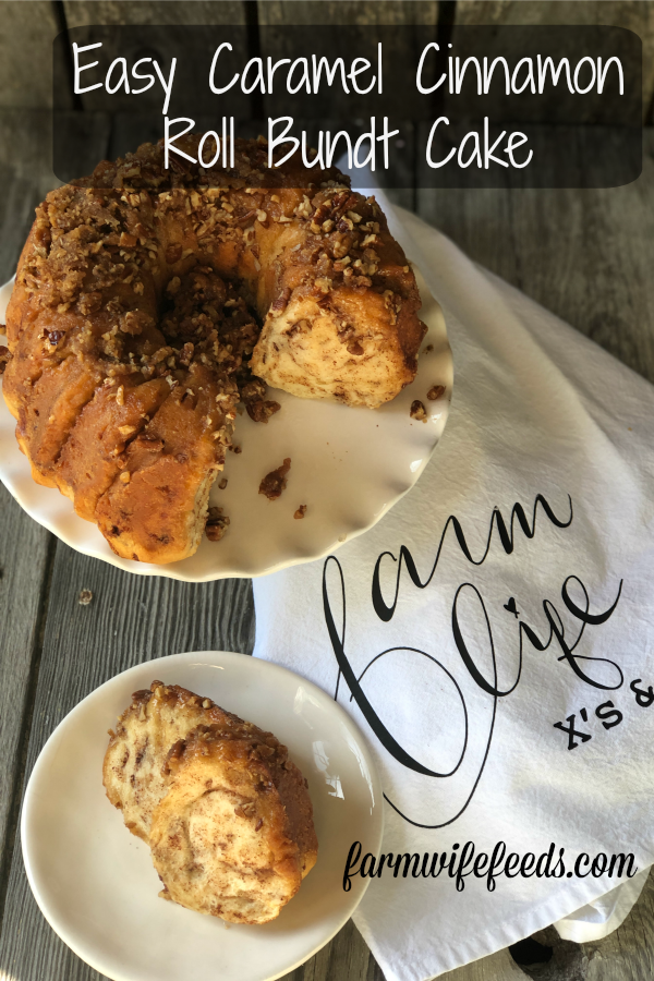 Easy Caramel Cinnamon Roll Bundt Cake from Farmwife Feeds makes a pop can of cinnamon rolls into a delicious easy bundt cake with a caramel glaze and pecans. #cinnamonrolls #bundtcake #easybreakfast 