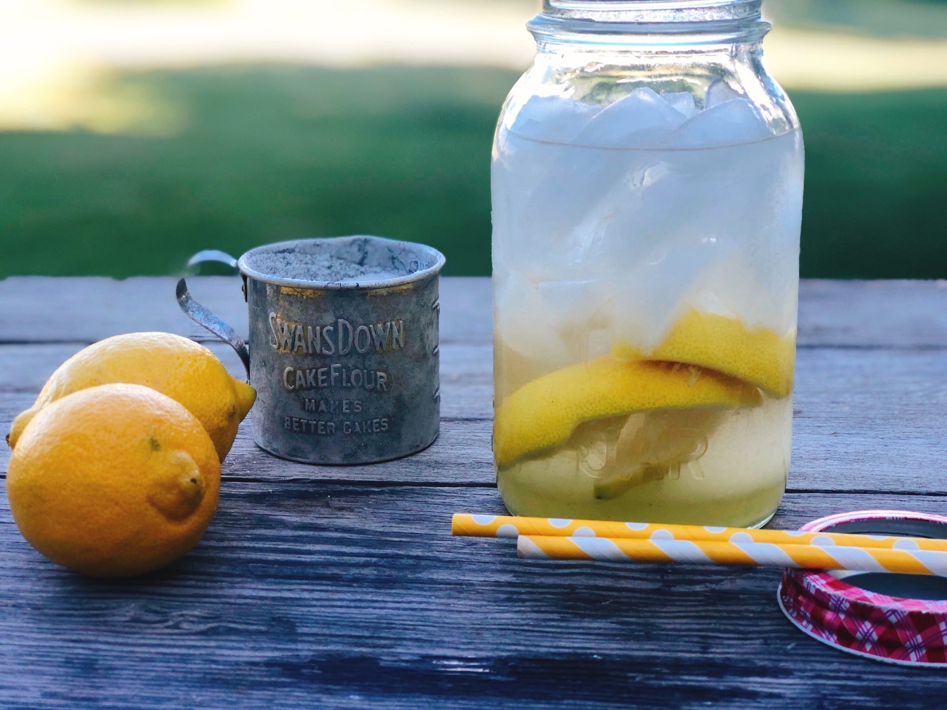 County Fair Lemon ShakeUp The Farmwife Feeds