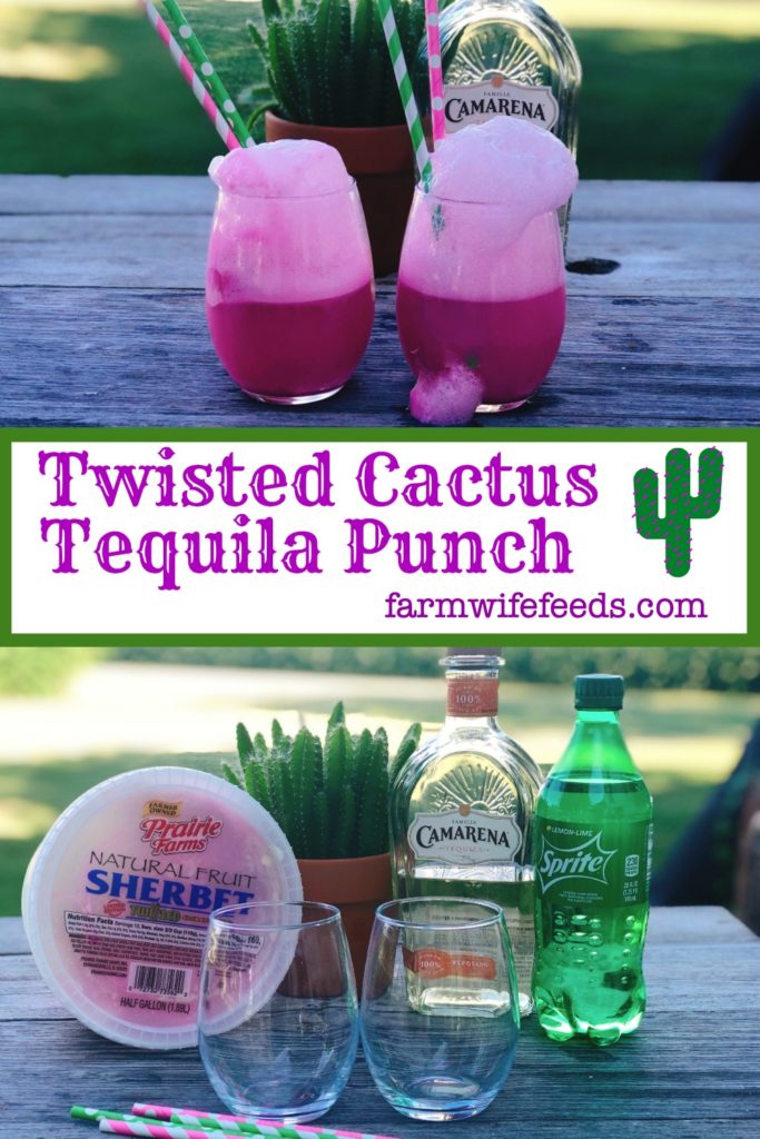 Twisted Cactus Tequila Punch from Farmwife Feeds, 3 ingredients for a fun drink by the glass or in a punchbowl for a crowd! #tequila #punch #sherbet #cocktail #pinkcocktail