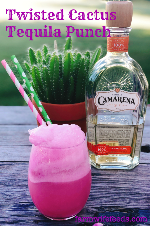 Twisted Cactus Tequila Punch from Farmwife Feeds, 3 ingredients for a fun drink by the glass or in a punchbowl for a crowd! #tequila #punch #sherbet #cocktail #pinkcocktail