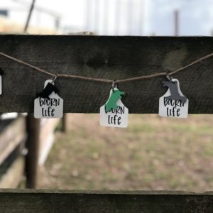 Livestock Ear Tag, Barn Life Keychain