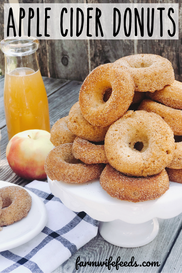 Apple Cider Donuts from Farmwife Feeds are all the taste of fall in donut form and use simple ingredients to make! #donuts #fall #apple #cider