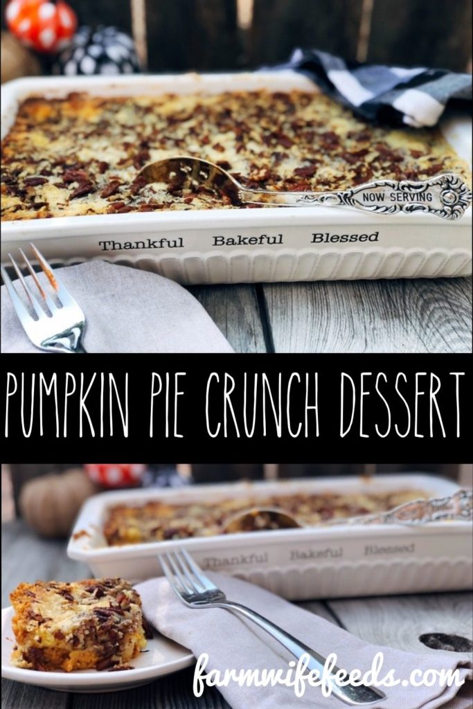 Pumpkin Pie Crunch Dessert from Farmwife Feeds is the perfect easy instead of pie dessert, pumpkin pie flavor with a cake and toasted pecan layer. #pumpkin #pumpkinpie #fall #dessert