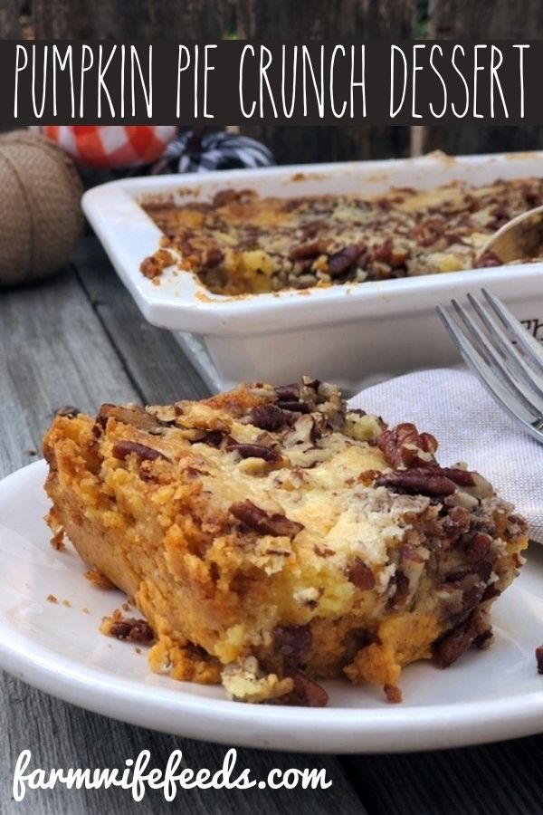 Pumpkin Pie Crunch Dessert from Farmwife Feeds is the perfect easy instead of pie dessert, pumpkin pie flavor with a cake and toasted pecan layer. #pumpkin #pumpkinpie #fall #dessert