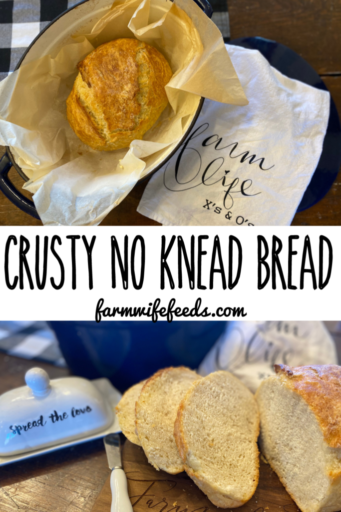 4 Ingredient No Knead Bread from Farmwife Feeds is hands down the easiest, rustic, artisan homemade bread your family will love.