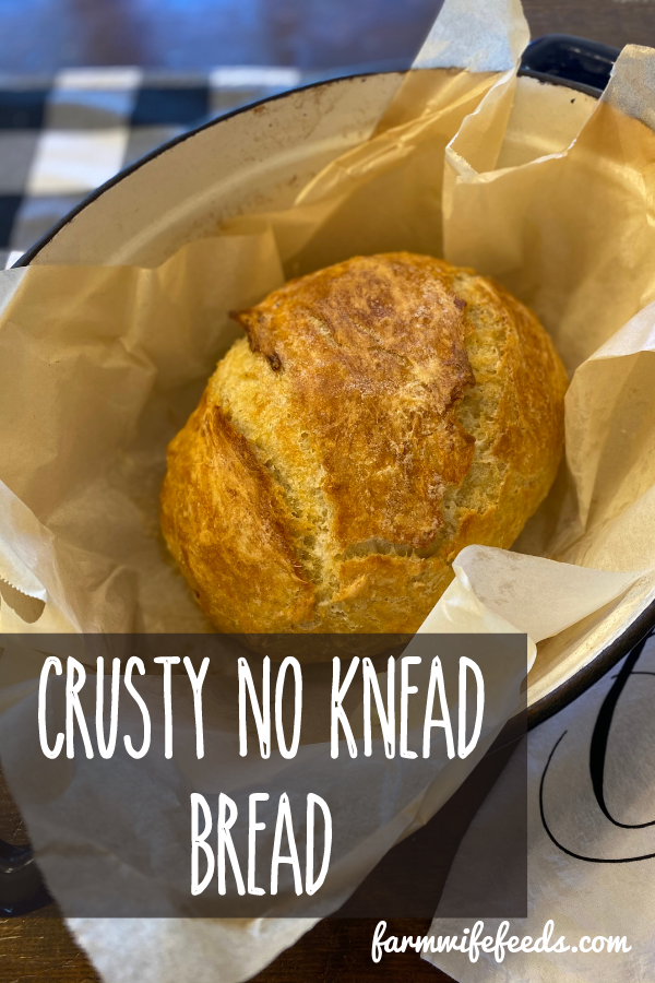 4 Ingredient No Knead Bread from Farmwife Feeds is hands down the easiest, rustic, artisan homemade bread your family will love.