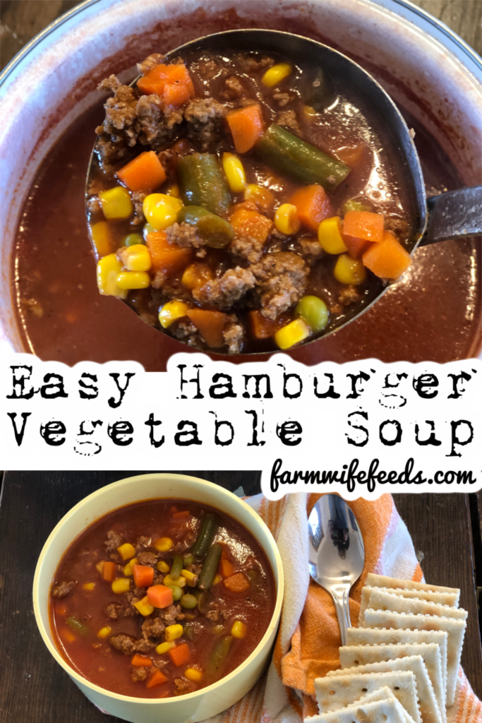 Easy Hamburger Vegetable Soup from Farmwife Feeds, a hearty quick stovetop soup for an easy meal. #soup #vegetable #hamburger #groundbeef