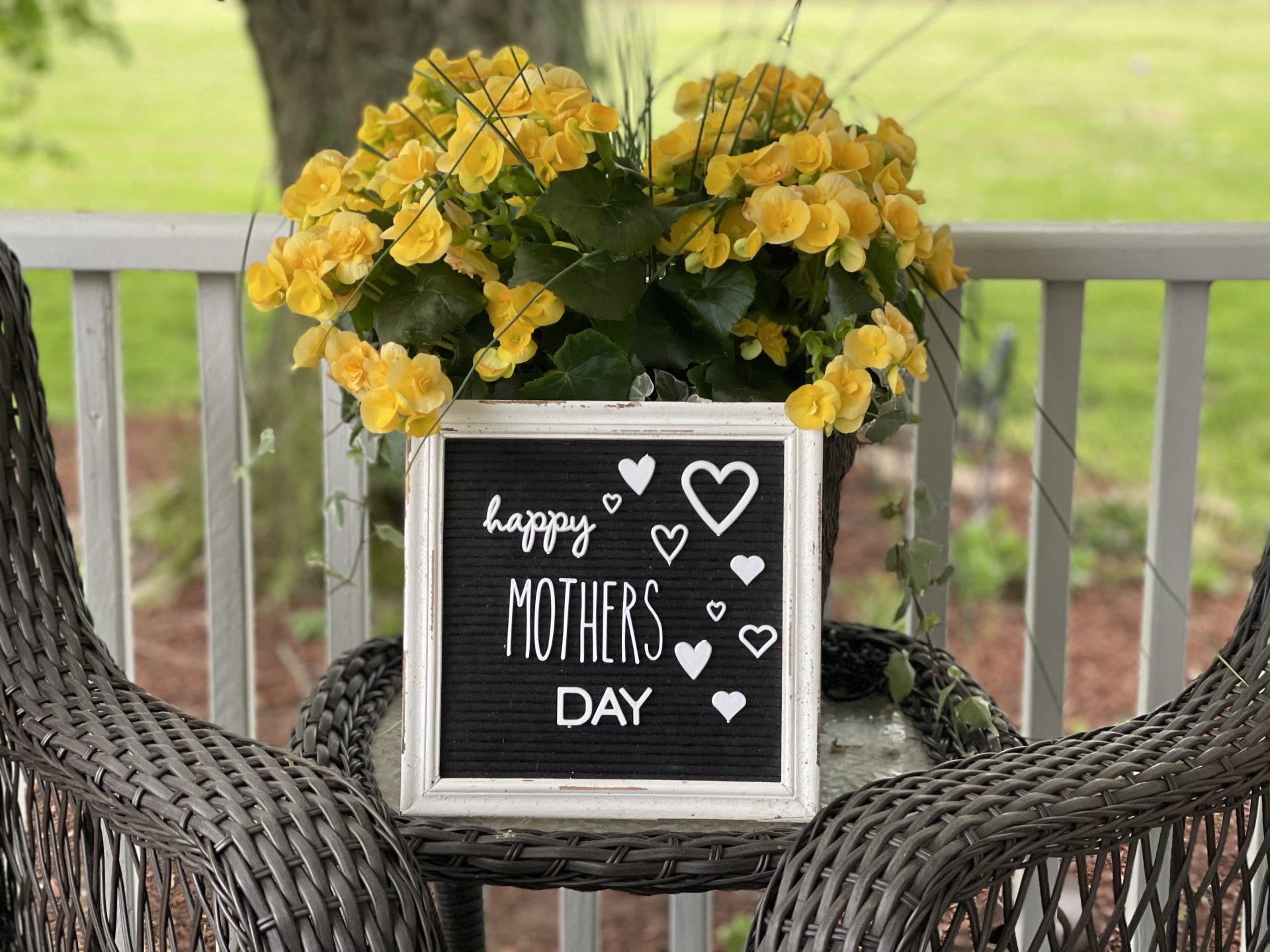 A Mothers Day Picture