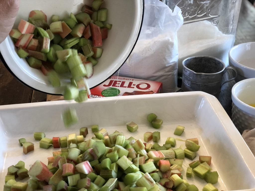 Strawberry Rhubarb Cobbler from Farmwife Feeds, an easy church cookbook dessert that you assemble right in the baking dish. #rhubarb #strawberry #dessert