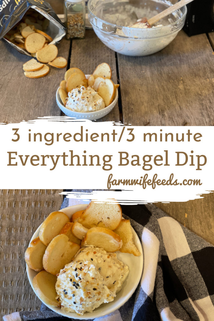 3 Ingredient Everything Bagel Dip from Farmwife Feeds is 3 ingredients and 3 minutes to a delicious snack or to share with company. #everythingbagel #dip #easyrecipe