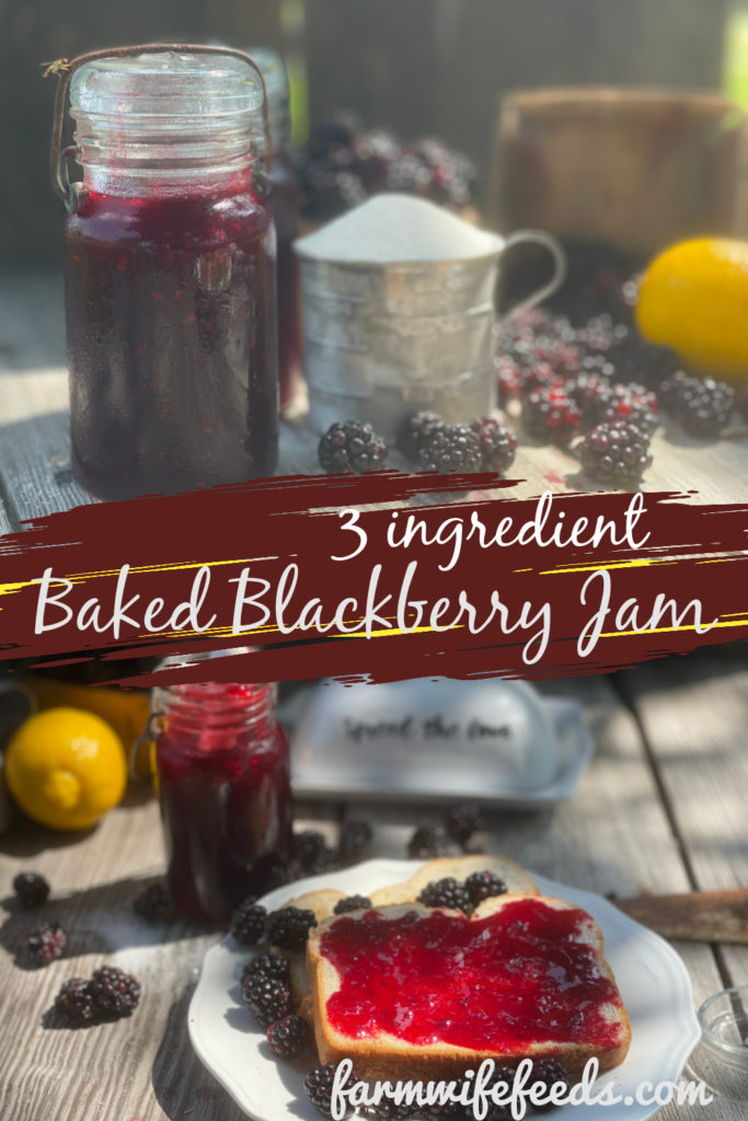 3 Ingredient Seedless Blackberry Jam from Farmwife Feeds. A simple jam using no pectin and the fruit is baked in the oven. #blackberries #jam #recipe