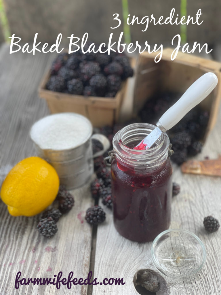 3 Ingredient Seedless Blackberry Jam from Farmwife Feeds. A simple jam using no pectin and the fruit is baked in the oven. #blackberries #jam #recipe