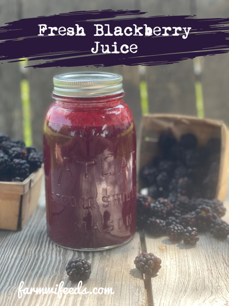 Fresh Sugarless Blackberry Juice from Farmwife Feeds is seedless made with fresh picked blackberries, super simple to make and super delicious to drink and use in recipes! #blackberry #fruit #sugarfree #sugarless