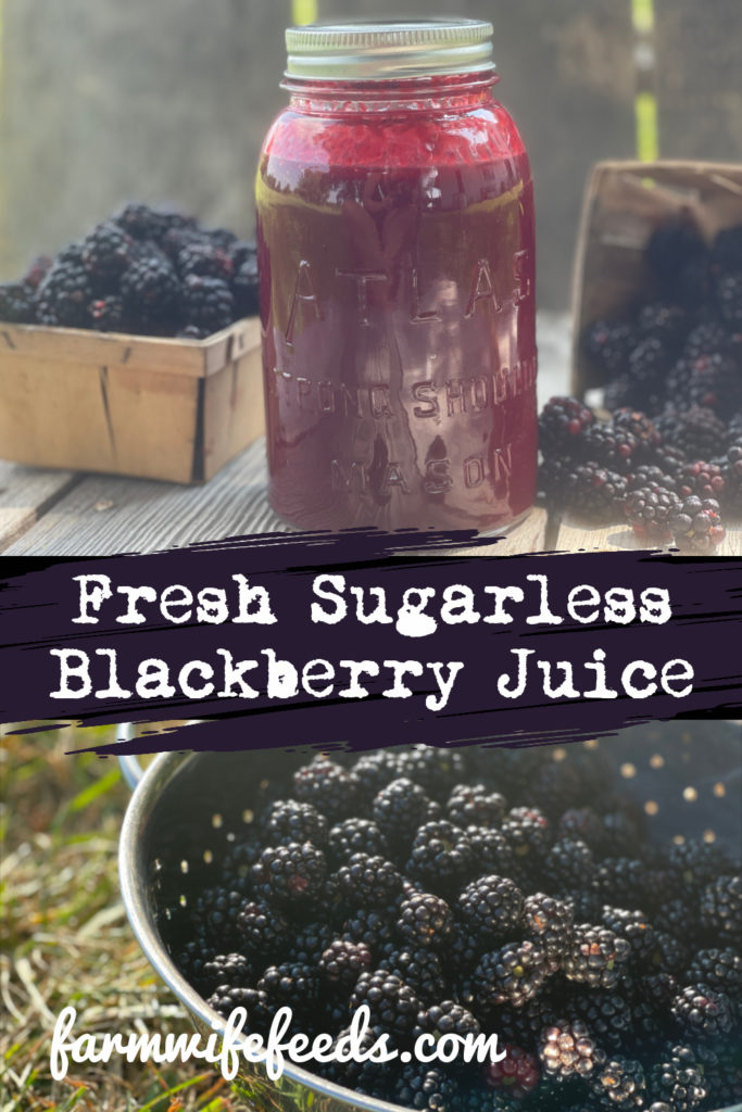 Fresh Sugarless Blackberry Juice from Farmwife Feeds is seedless made with fresh picked blackberries, super simple to make and super delicious to drink and use in recipes! #blackberry #fruit #sugarfree #sugarless