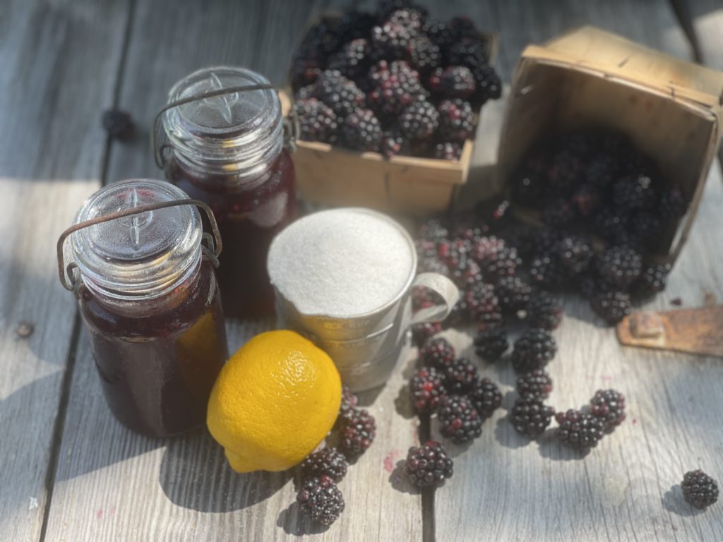 3 Ingredient Seedless Blackberry Jam from Farmwife Feeds. A simple jam using no pectin and the fruit is baked in the oven. #blackberries #jam #recipe