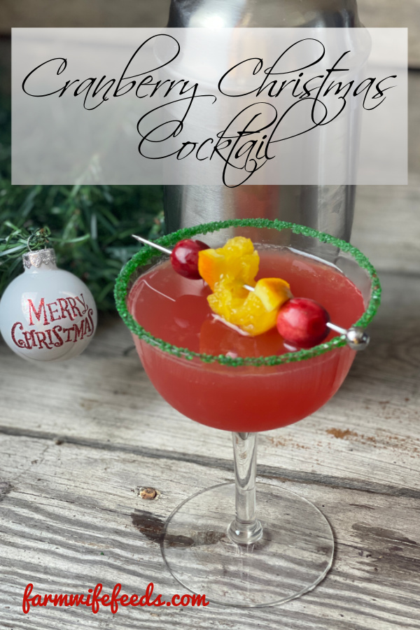Cranberry Christmas Cocktail from Farmwife Feeds, holiday spirits in a glass. Festive and flavorful is the name of the game with orange and cranberry flavors. #christmascocktail #cranberry #whippedvodka