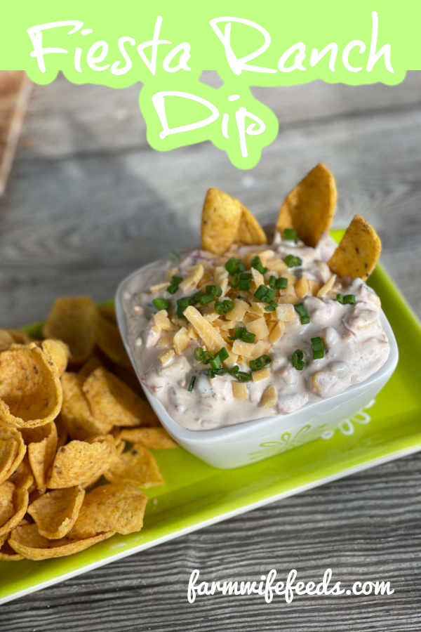 Fiesta Ranch Dip from Farmwife Feeds, a quick easy dip for gatherings, good served with a variety of chips to please everyone. #dip #ranch