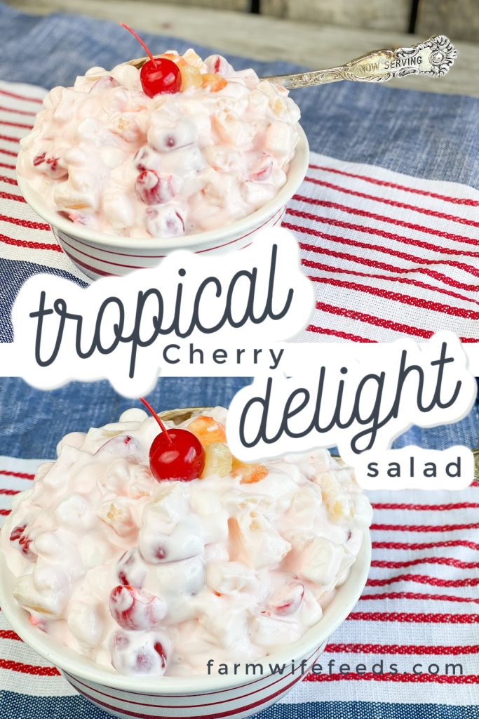 white creamy fruit salad in a bowl with a red cherry on top with words tropical cherry delight salad