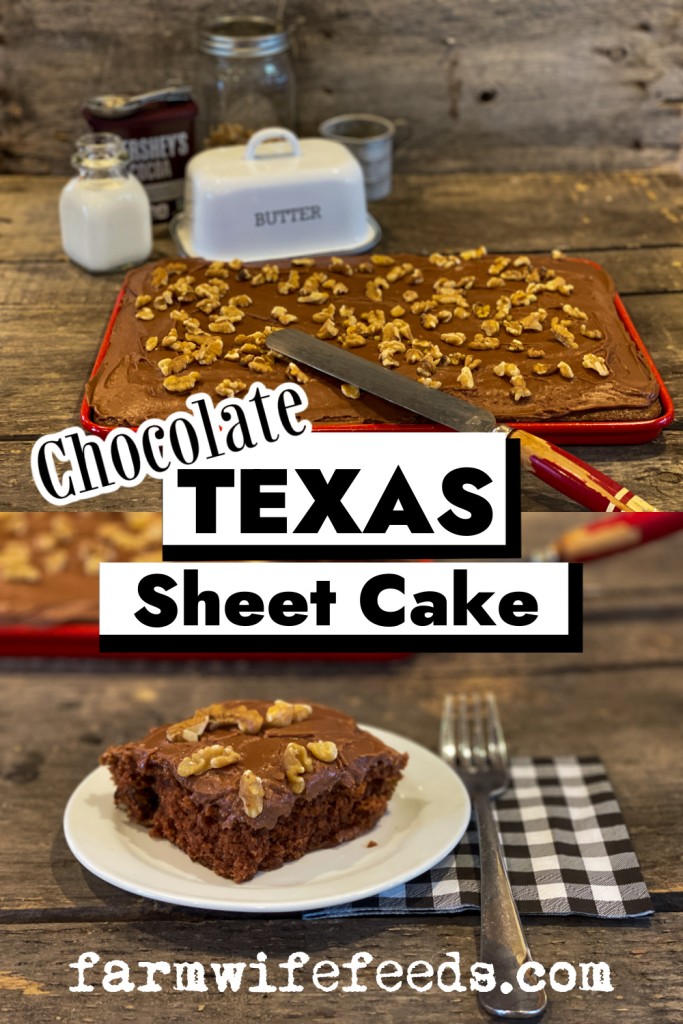 words Chocolate Texas Sheet cake with a pan of cake and a slice of cake