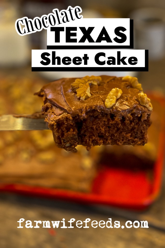 Slice of chocolate texas sheet cake with word