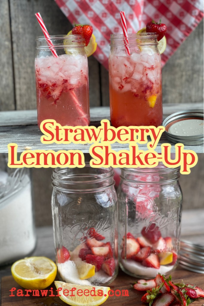 mason jar with crushed ice and straw with words Strawberry Lemon Shake-Up